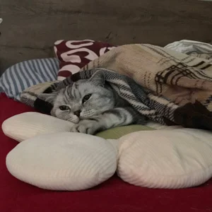 luna_berryy my little bun 😼 Pic 5