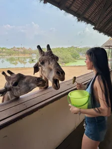 CuteNessy My new friend 🦒 사진 2