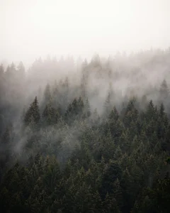 Landschaft de Paul10112  photos