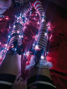 KittyBounty Public Foto 4