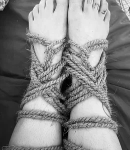 Public de Marlaquinzel  3 photos