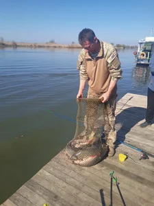 Public od Viause_Kentauelle  4 snímek