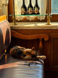 NatalyRose_ Vacation in Turkey 🇹🇷 Bilde 6