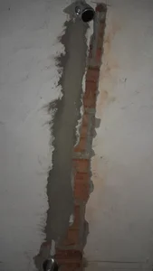 tunegrosabrosito19cm Public Pic 9