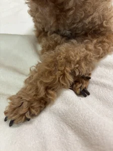 Public de yurinana_0012  3 Imagens