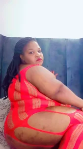 BBWMIDGET40 Public slika 4