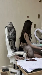 MelissaDouglas's photo