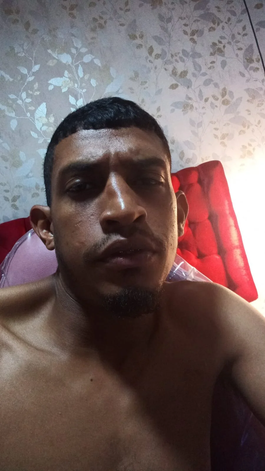 صور brad_Browns الرائجة  606