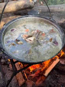 mary_ton 7 days on kayak Foto 7