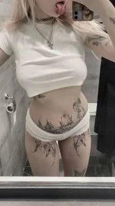 Zdjęcia DriveThruCats Public:  2