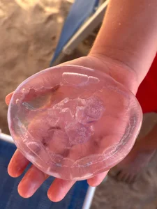 CelesteBailey: Egypt Vacation 🙈 ( 3 фото)