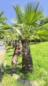 Rapunzel_hairlover Rapunzel Foto 5