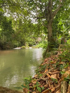 Prettybuddy Ha зображення 2