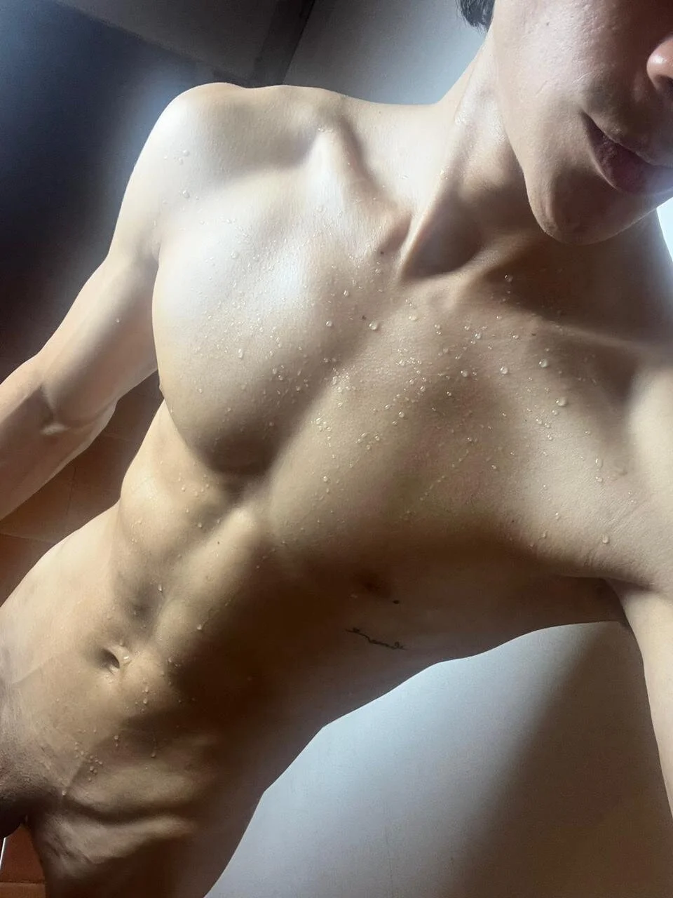 Cheys_Mast 님의 트렌드 중인 사진  2521개