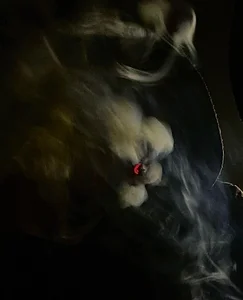 bigdickigy Public Pic