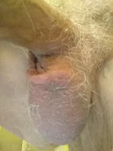 capttp Fan club Εικόνα 9