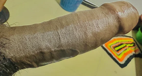 Public de Slbigdoogy21  3 Imagens