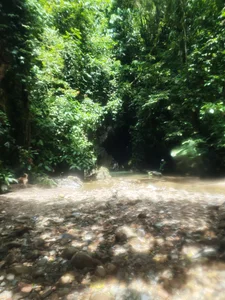 Rio Claro - Antioquia- Medellin de Karolina_1 Foto 7