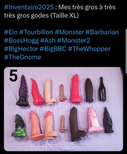 Mes godes en 2025 de MissSluttyLeeloo  3 Imagens