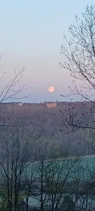 schmidtler35 Public Pic 7