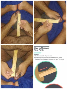 Public de RussellTaylorLacy  2 Imagens