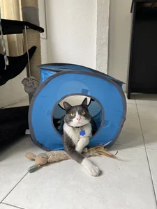 HazzelGray My roomies 🥰 Pic