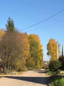 Touch_And_Run A piece of autumn 🍁 Billede 7