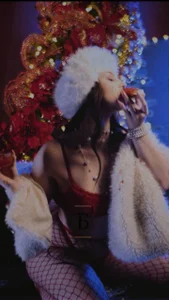 christmas club od selensins  2 snímek