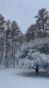 my world od LaveraMeling  2 snímek