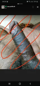 Public de Shanubest  Imagens