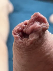 martxxxxxCock Bild 2