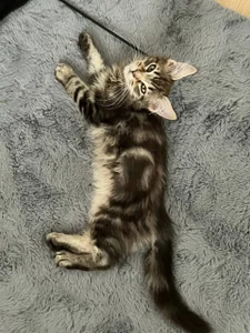 Zdjęcia Rina_Red welcome home Bucks:  4