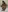 Wet46's photo