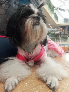 magenta_maturr angel Pic 3