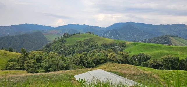 Kore_Persephone Love for nature and every inch it inhabits 🌿🍀😍 slika 2