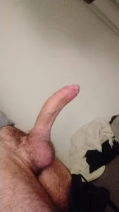 Ceretello7 Public Poză 5