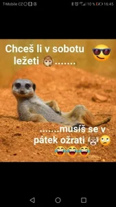 Public od KokosMartin  2 snímek