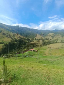 CrystalRambeau TRAVEL 🤩 Pic 8