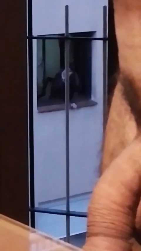 DauntedHumulin  5939. kiemelt képe