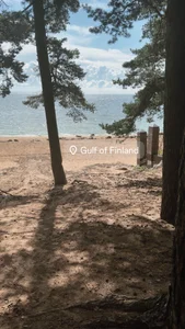 NinaNightt Life Pic 6