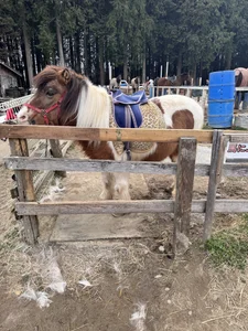 muichat_61: favorite ( фото)