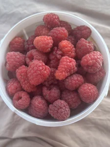 stripcouplee: <3 ( 3 фото)