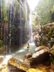 AnselWillis's photo