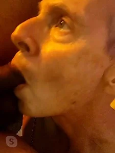 OzSydCam Public 사진 2