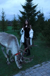 AliceLiddelle Christmas! Pic 7