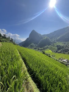 AdamLazisのPublicの 8枚の写真