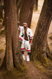 Thomas_shelbysOn wild图片 6