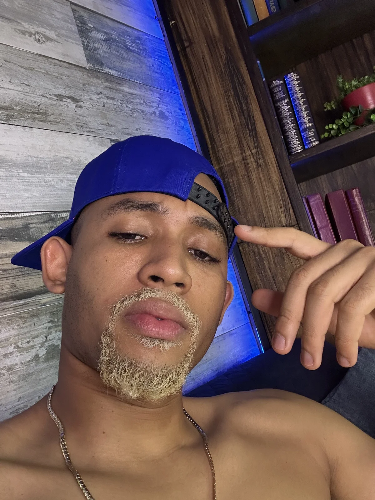 B_Wild Populært bilde 5606