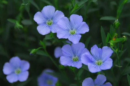 MOEMOE-Q Public Foto 4