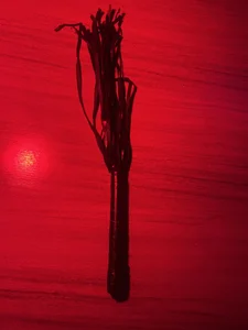 MILU_SLAVEのWHIPS FOR YOU TO FLIP MEの 6枚の写真